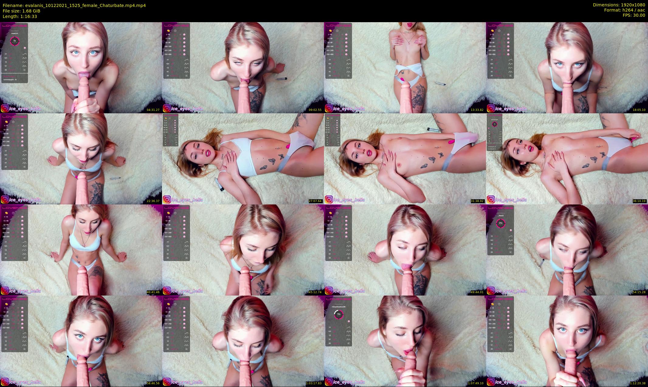 evalanis — 77 minute Chaturbate couple cam show recording, 1080p, Dec 10, 2021