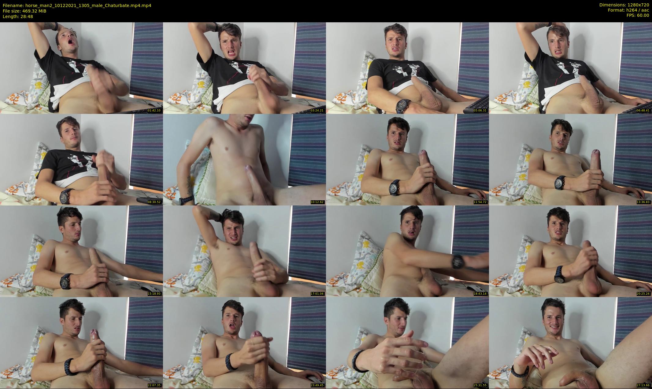 horse_man2 — 29 minute Chaturbate male cam show recording, 720p, Dec 10, 2021