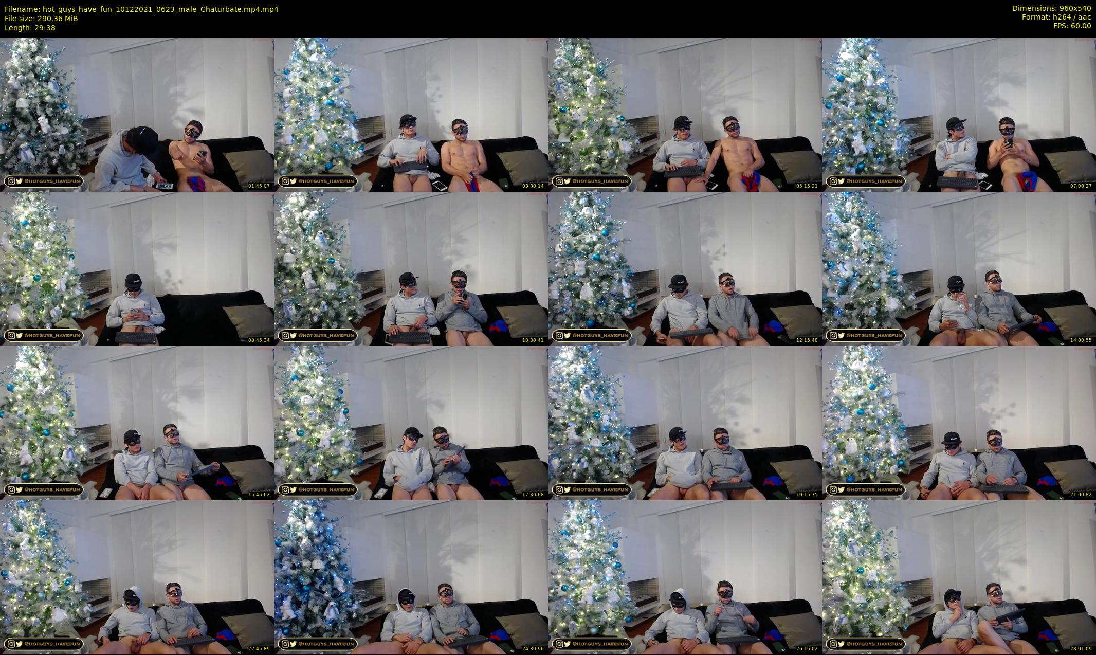 hot_guys_have_fun — 30 minute Chaturbate male cam show recording, 480p, Dec 10, 2021