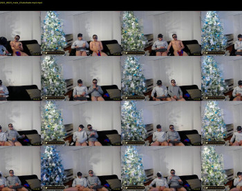 hot_guys_have_fun — 30 minute Chaturbate male cam show recording, 480p, Dec 10, 2021
