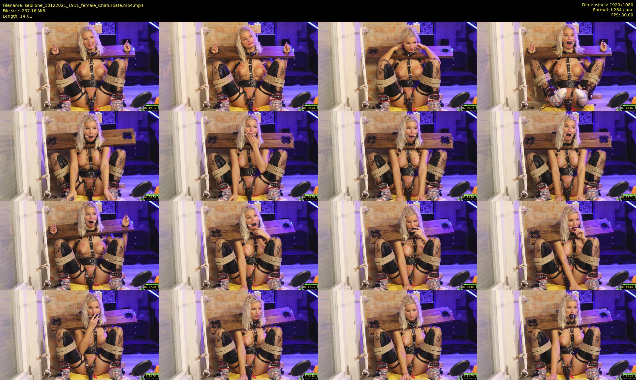 sebilone — 15 minute Chaturbate couple cam show recording, 1080p, Dec 10, 2021