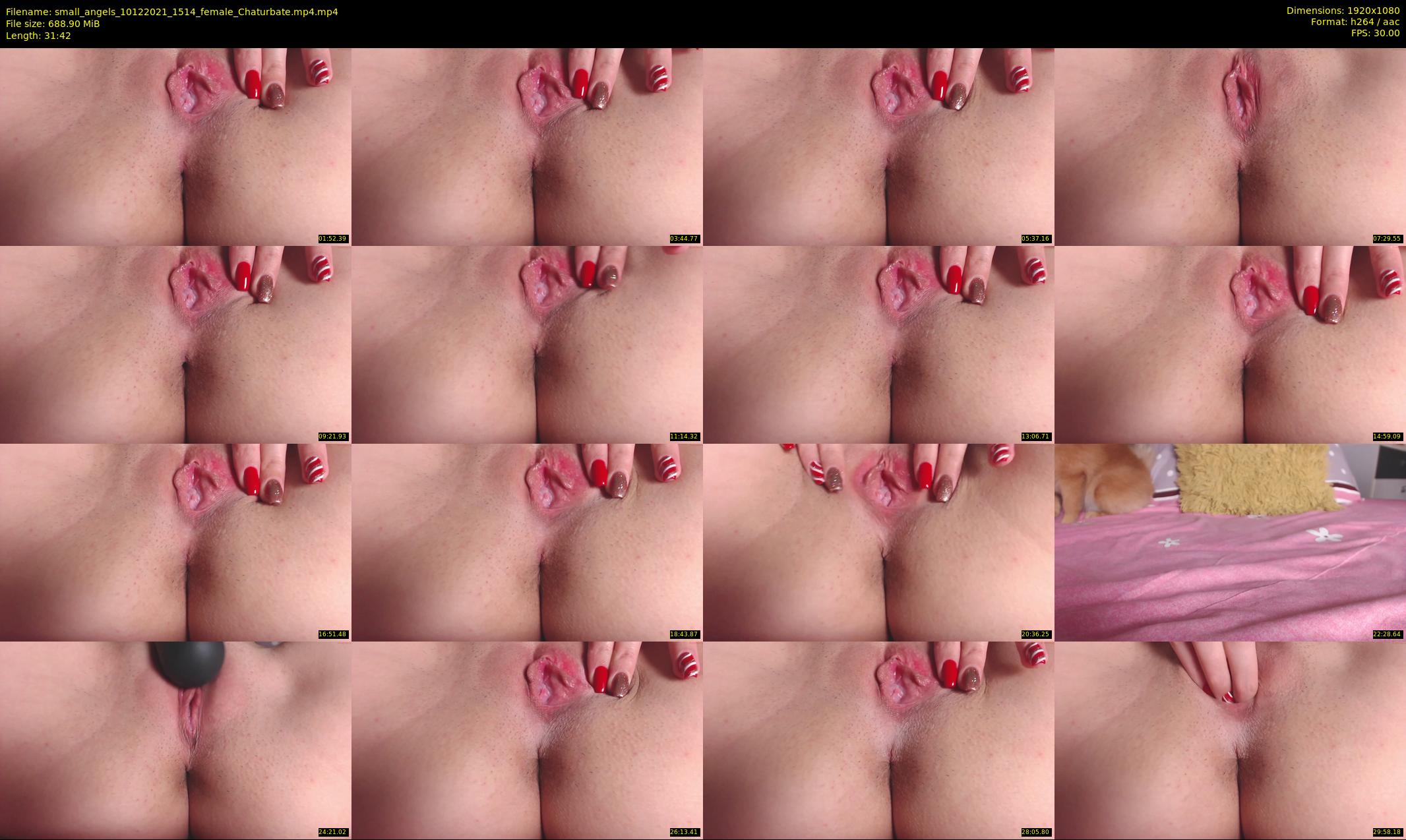 small_angels — 32 minute Chaturbate female cam show recording, 1080p, Dec 10, 2021