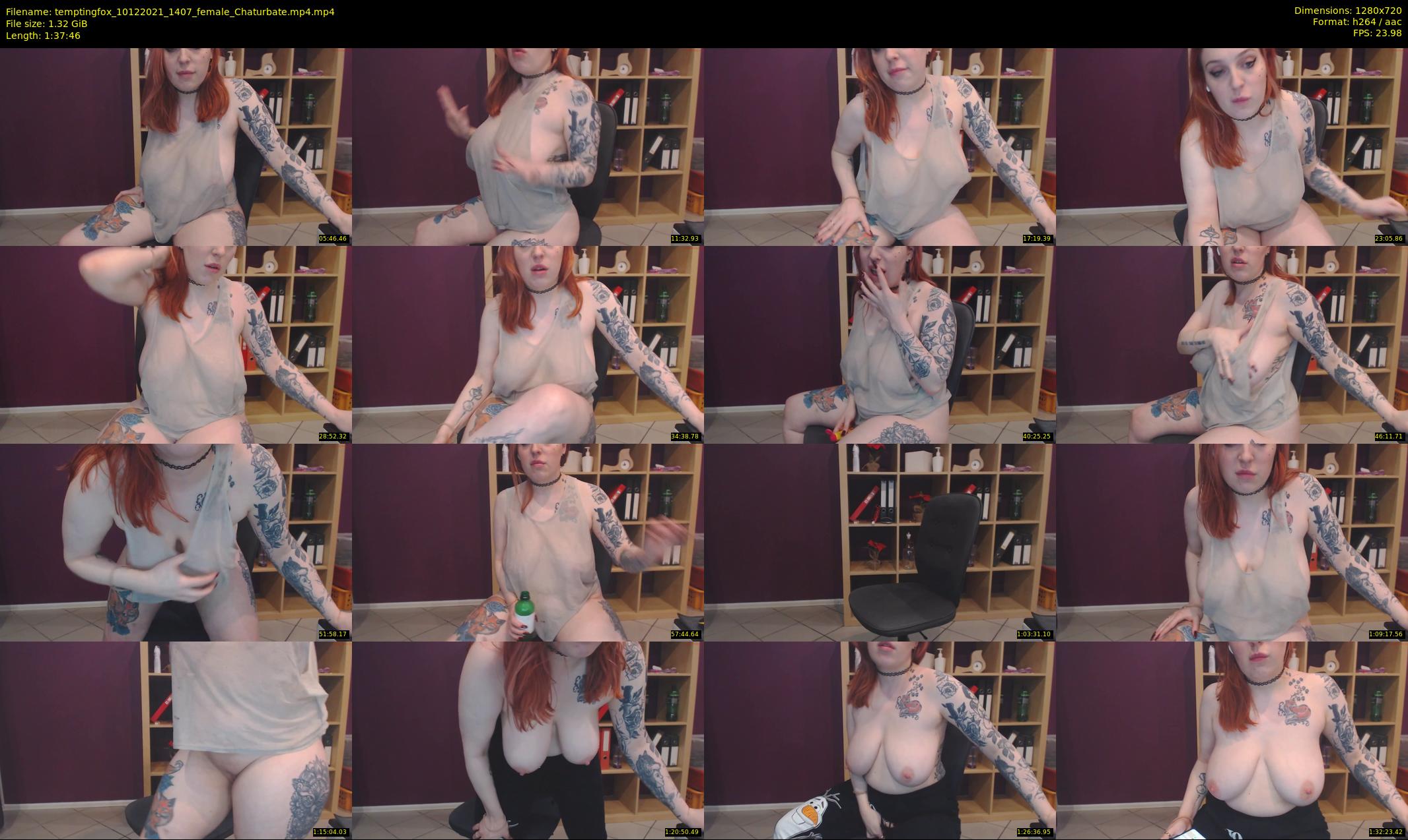 temptingfox — 98 minute Chaturbate female cam show recording, 720p, Dec 10, 2021