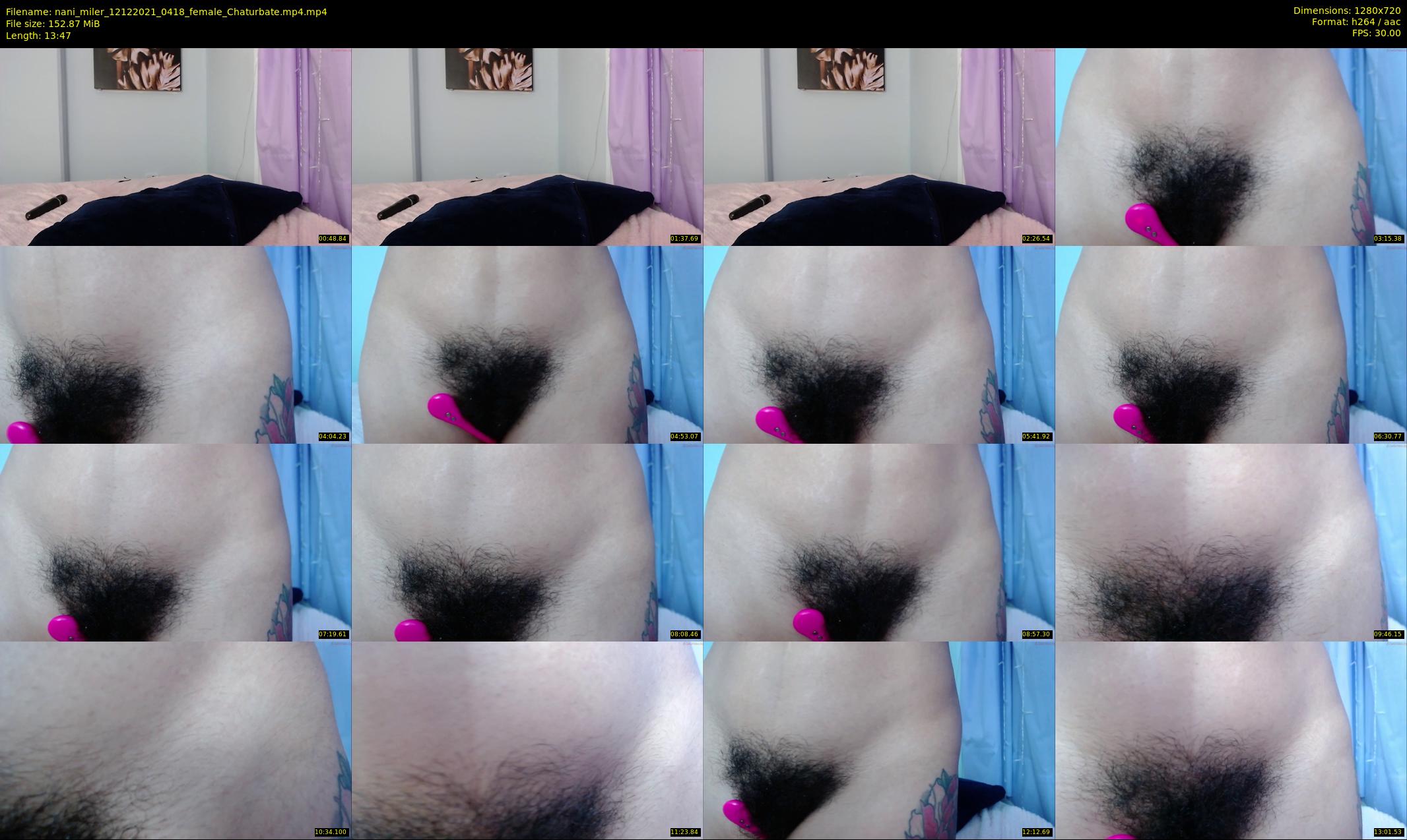 nani_miler — 14 minute Chaturbate female cam show recording, 720p, Dec 12, 2021