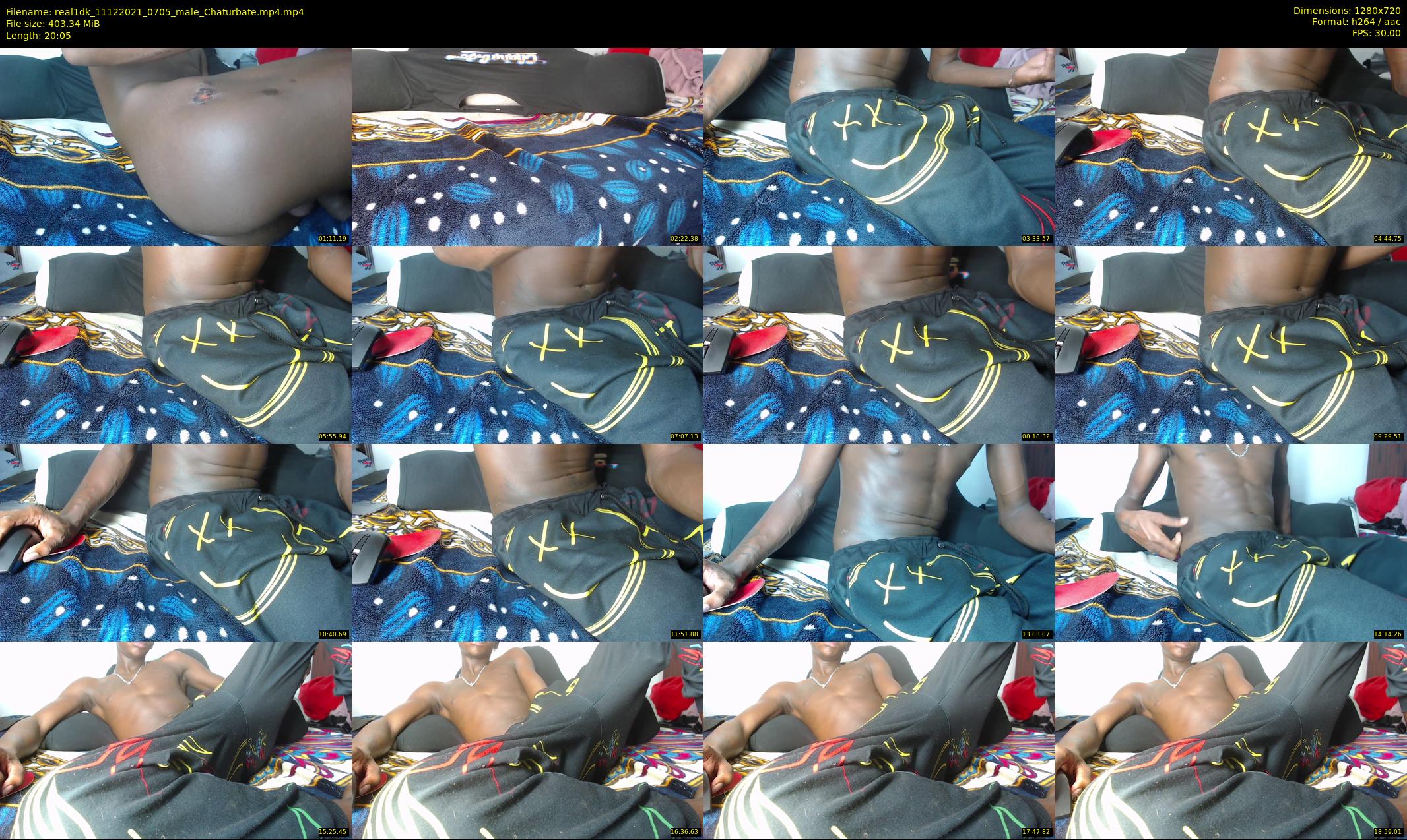 real1dk — 21 minute Chaturbate male cam show recording, 720p, Dec 11, 2021