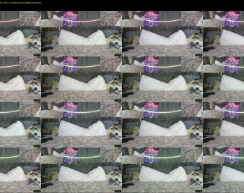 shannahand420 — 65 minute Chaturbate male cam show recording, 1080p, Dec 13, 2021