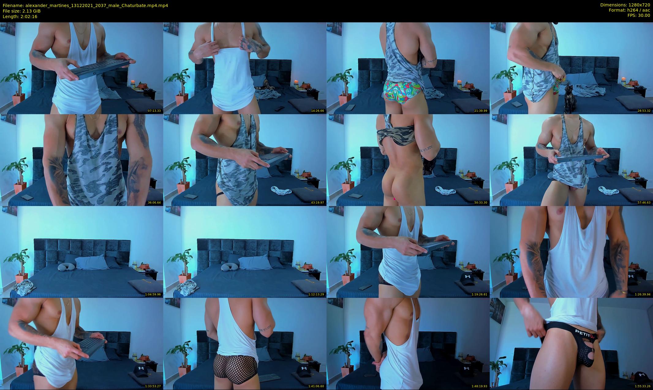 alexander_martines — 123 minute Chaturbate male cam show recording, 720p, Dec 13, 2021