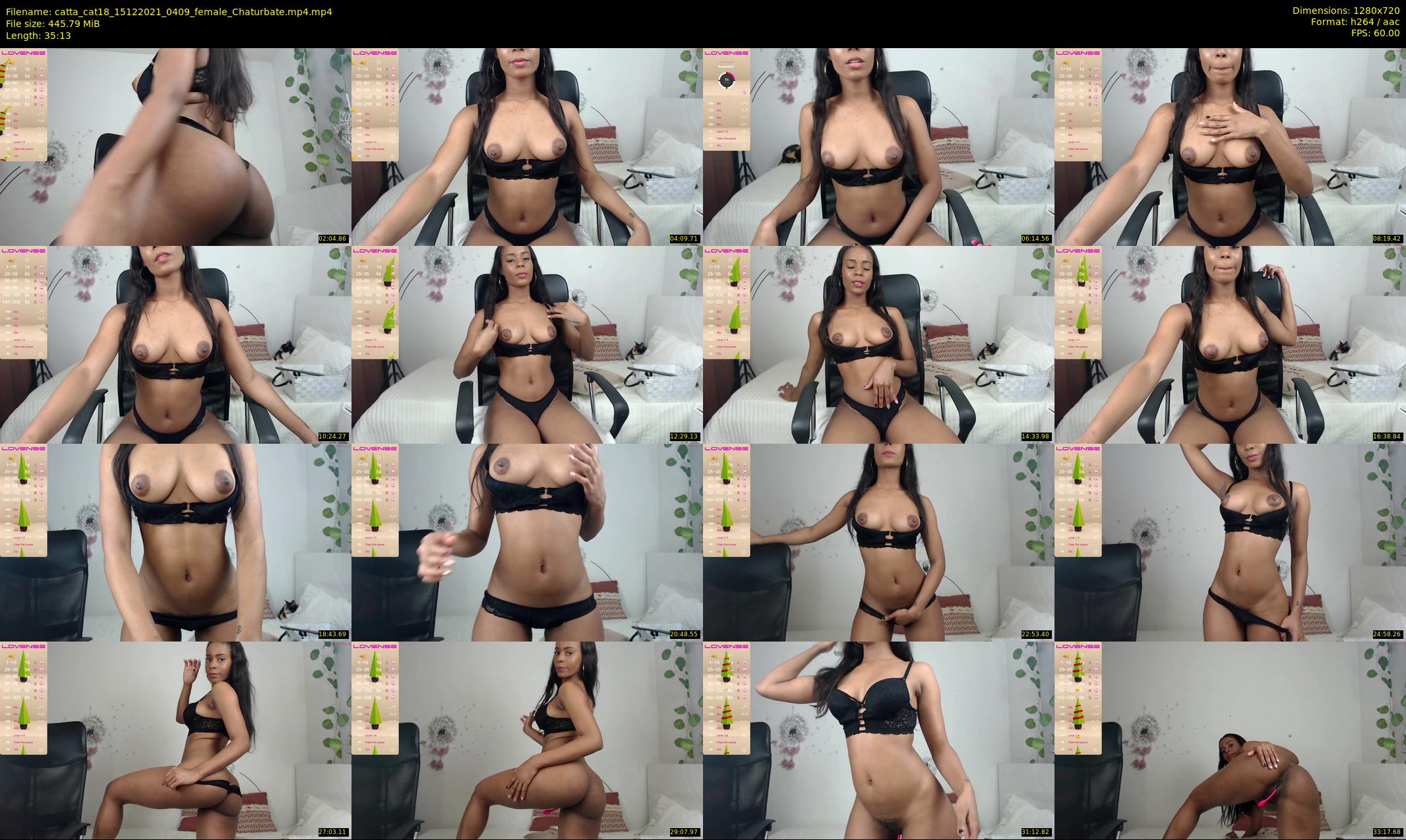 catta_cat18 — 36 minute Chaturbate female cam show recording, 720p, Dec 15, 2021