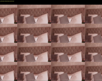 alliesynn — 14 minute Chaturbate female cam show recording, 1080p, Dec 15, 2021