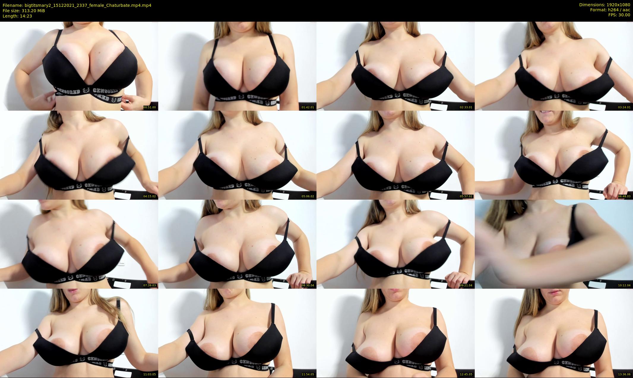 bigtitsmary2 — 15 minute Chaturbate female cam show recording, 1080p, Dec 15, 2021