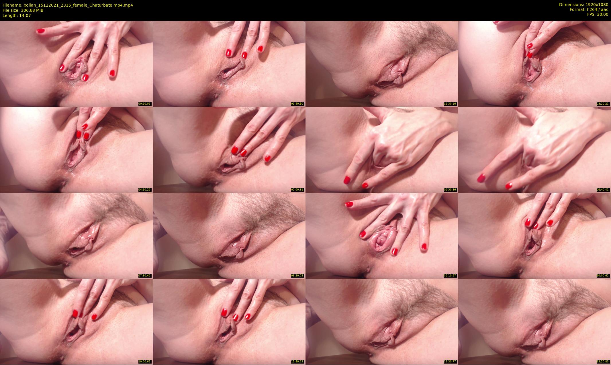xollan — 15 minute Chaturbate female cam show recording, 1080p, Dec 15, 2021