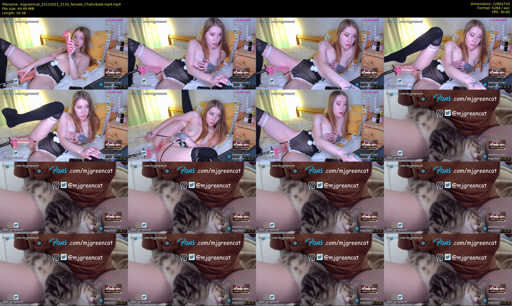 mjgreencat — 11 minute Chaturbate female cam show recording, 720p, Dec 15, 2021