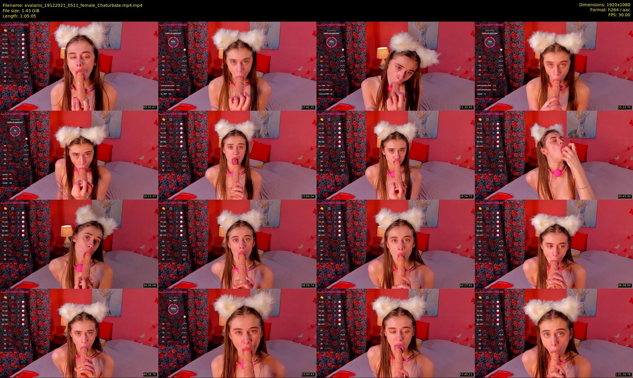 evalanis — 66 minute Chaturbate couple cam show recording, 1080p, Dec 19, 2021
