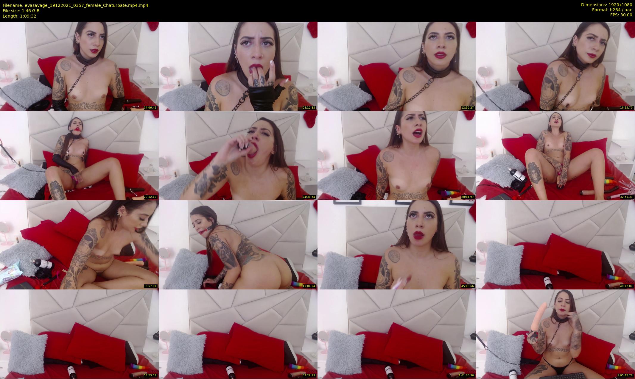 evasavage — 70 minute Chaturbate female cam show recording, 1080p, Dec 19, 2021