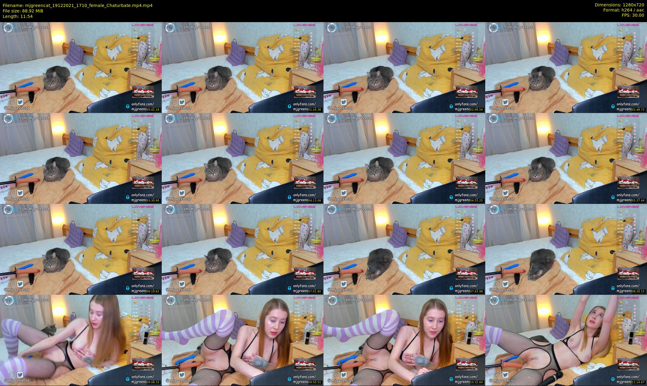 mjgreencat — 12 minute Chaturbate female cam show recording, 720p, Dec 19, 2021