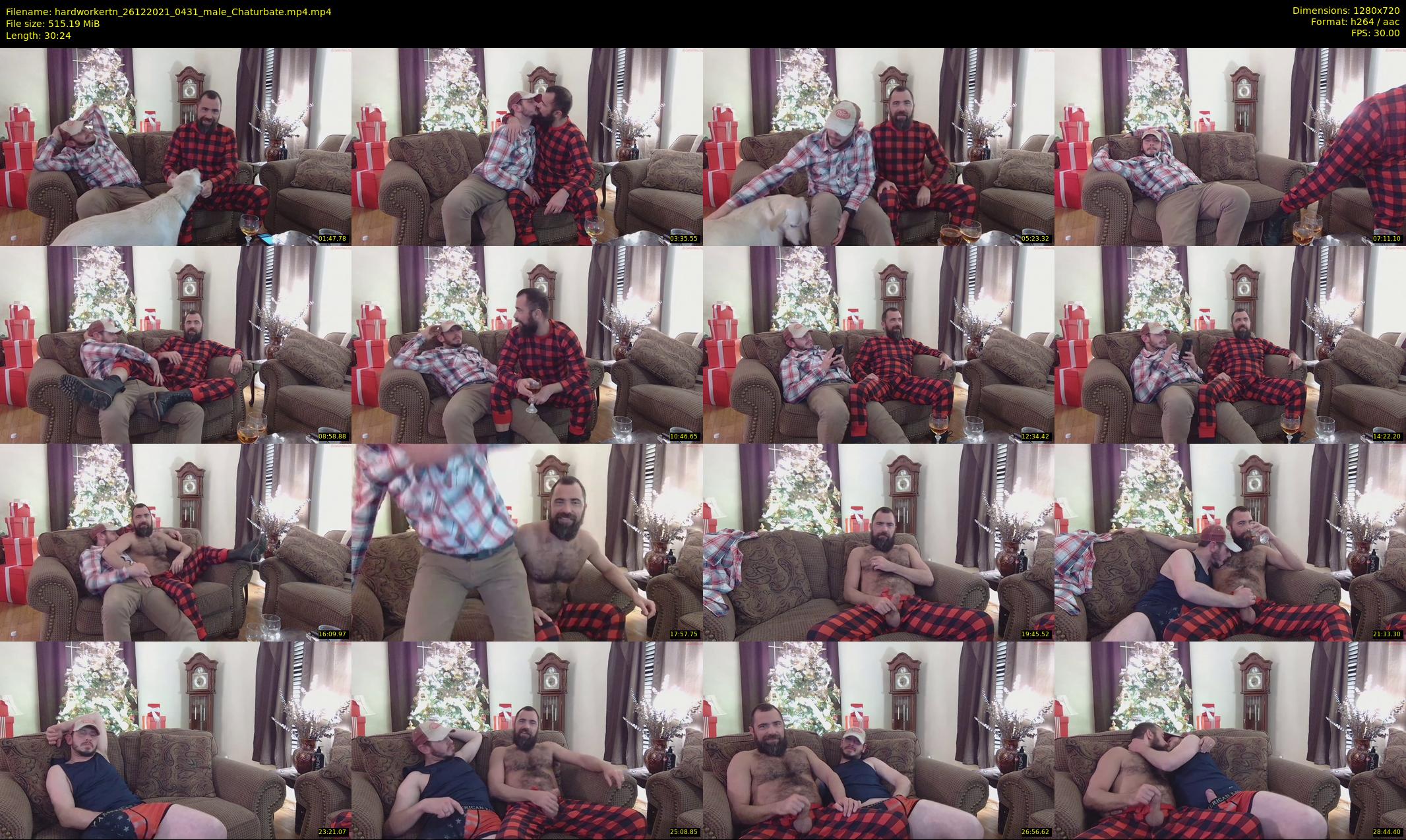 hardworkertn — 31 minute Chaturbate male cam show recording, 720p, Dec 26, 2021