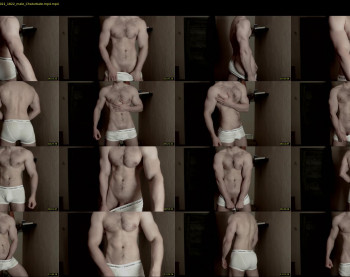 big_nick_for_you_ — 16 minute Chaturbate male cam show recording, 1080p, Dec 26, 2021