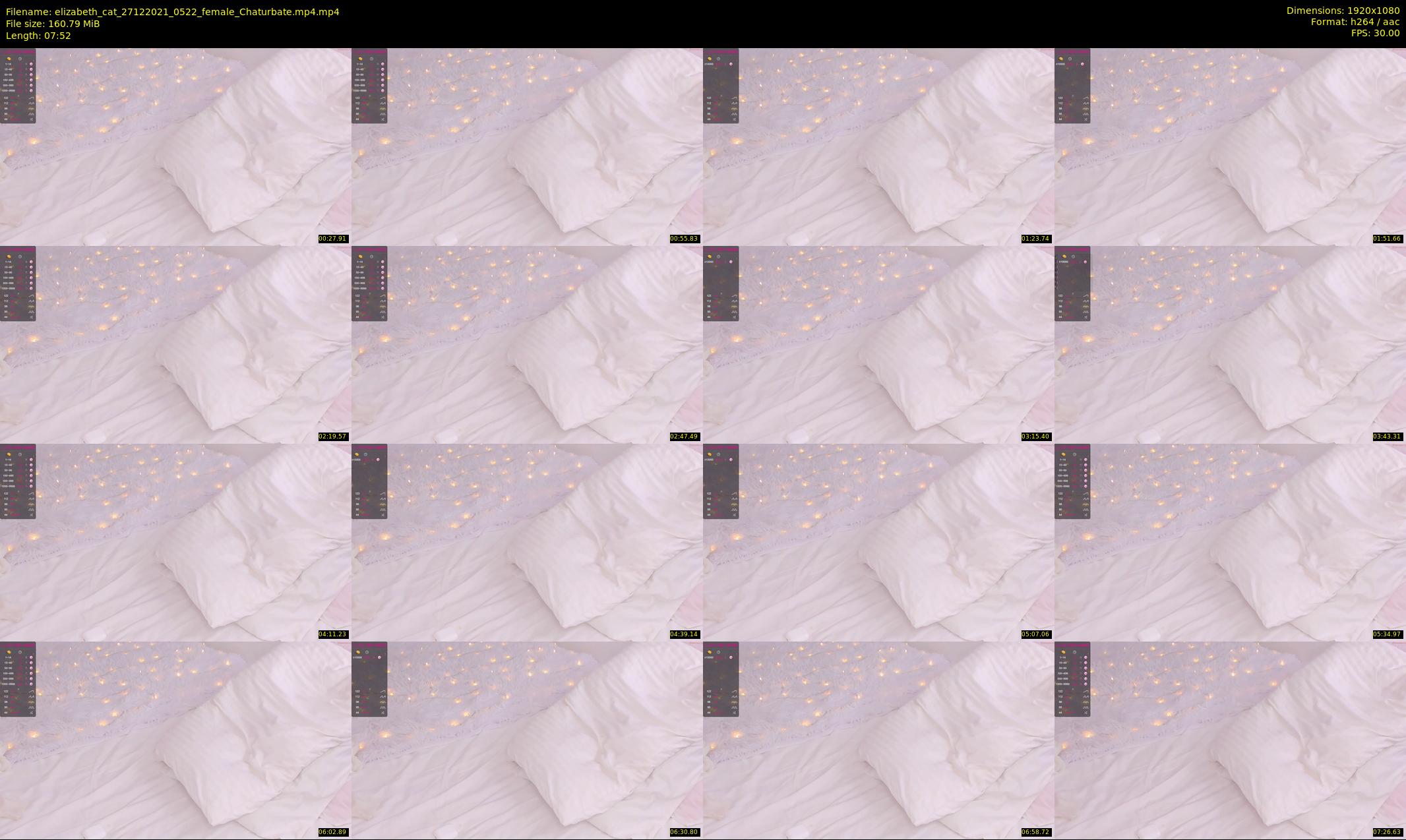 elizabeth_cat — 8 minute Chaturbate female cam show recording, 1080p, Dec 27, 2021