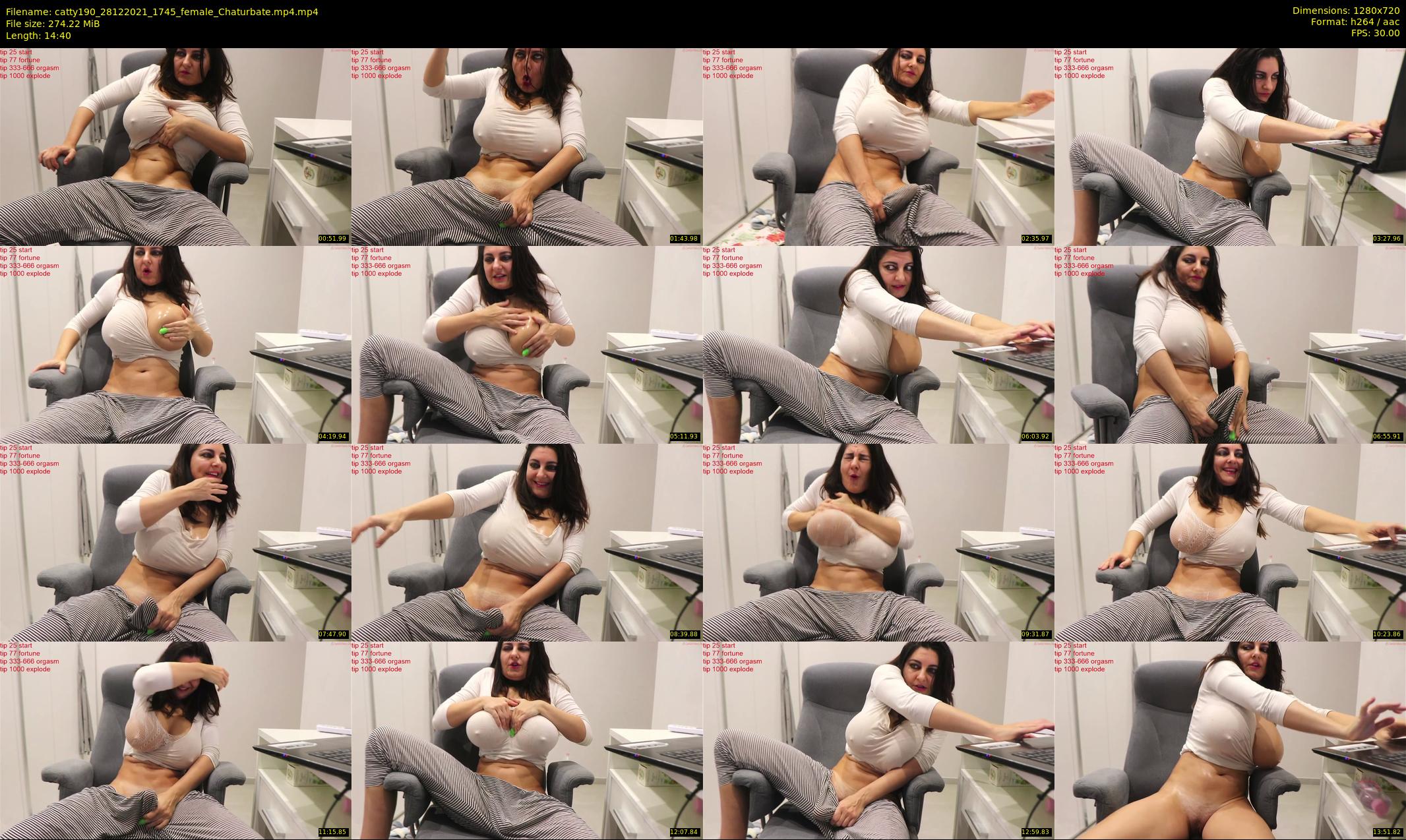 catty190 — 15 minute Chaturbate female cam show recording, 720p, Dec 28, 2021
