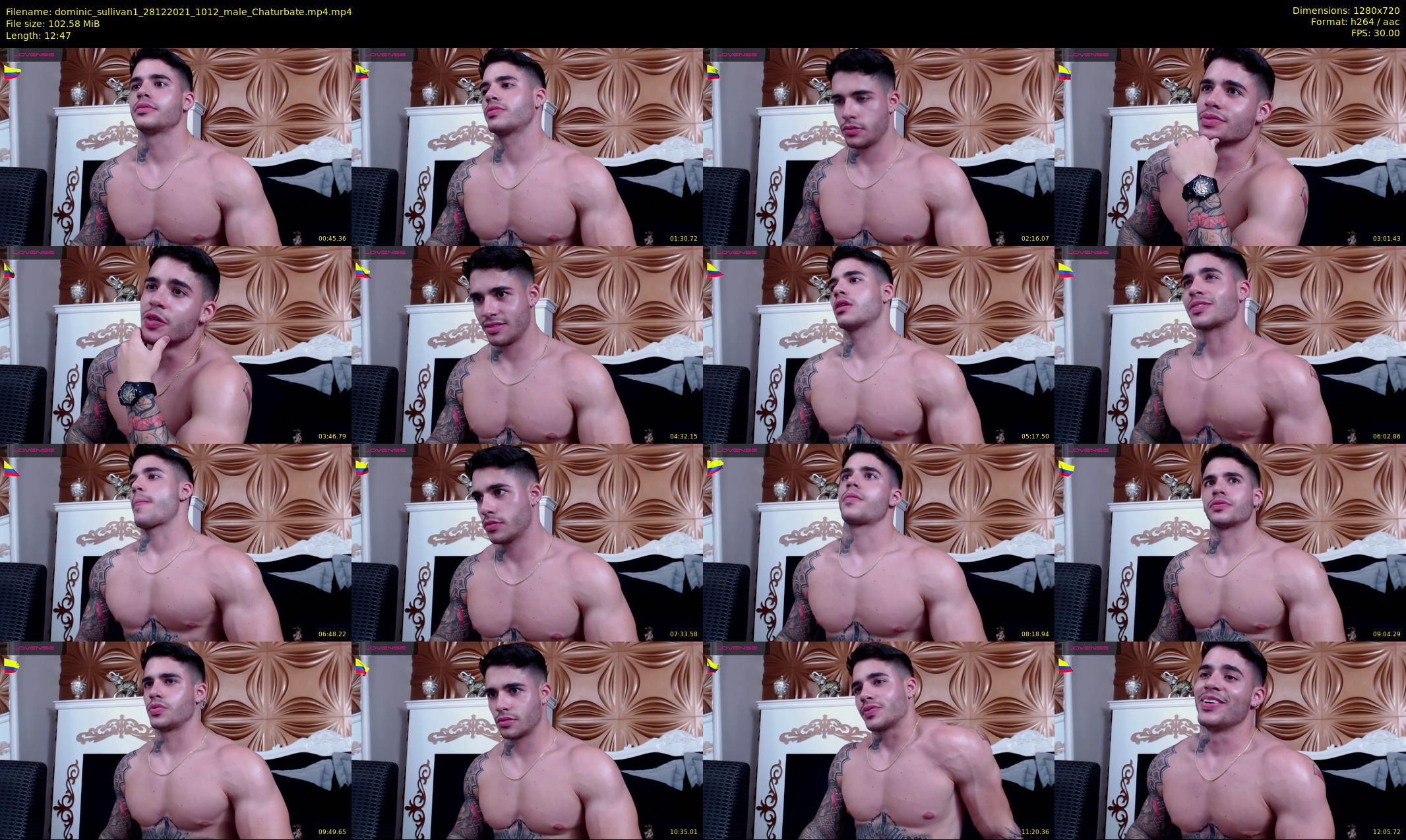 dominic_sullivan1 — 13 minute Chaturbate male cam show recording, 720p, Dec 28, 2021