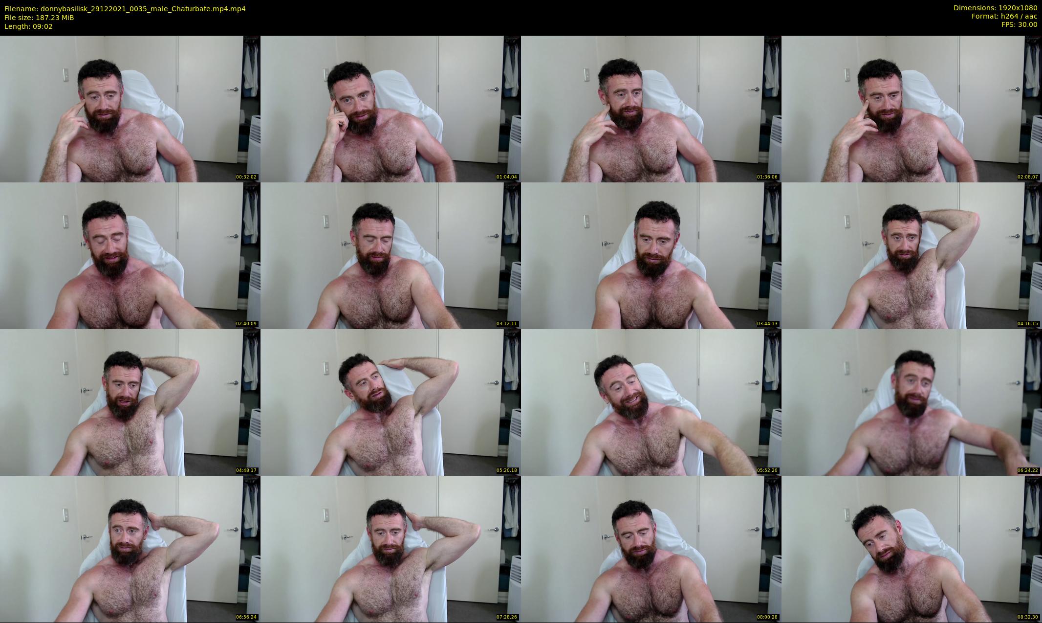 donnybasilisk — 10 minute Chaturbate male cam show recording, 1080p, Dec 29, 2021