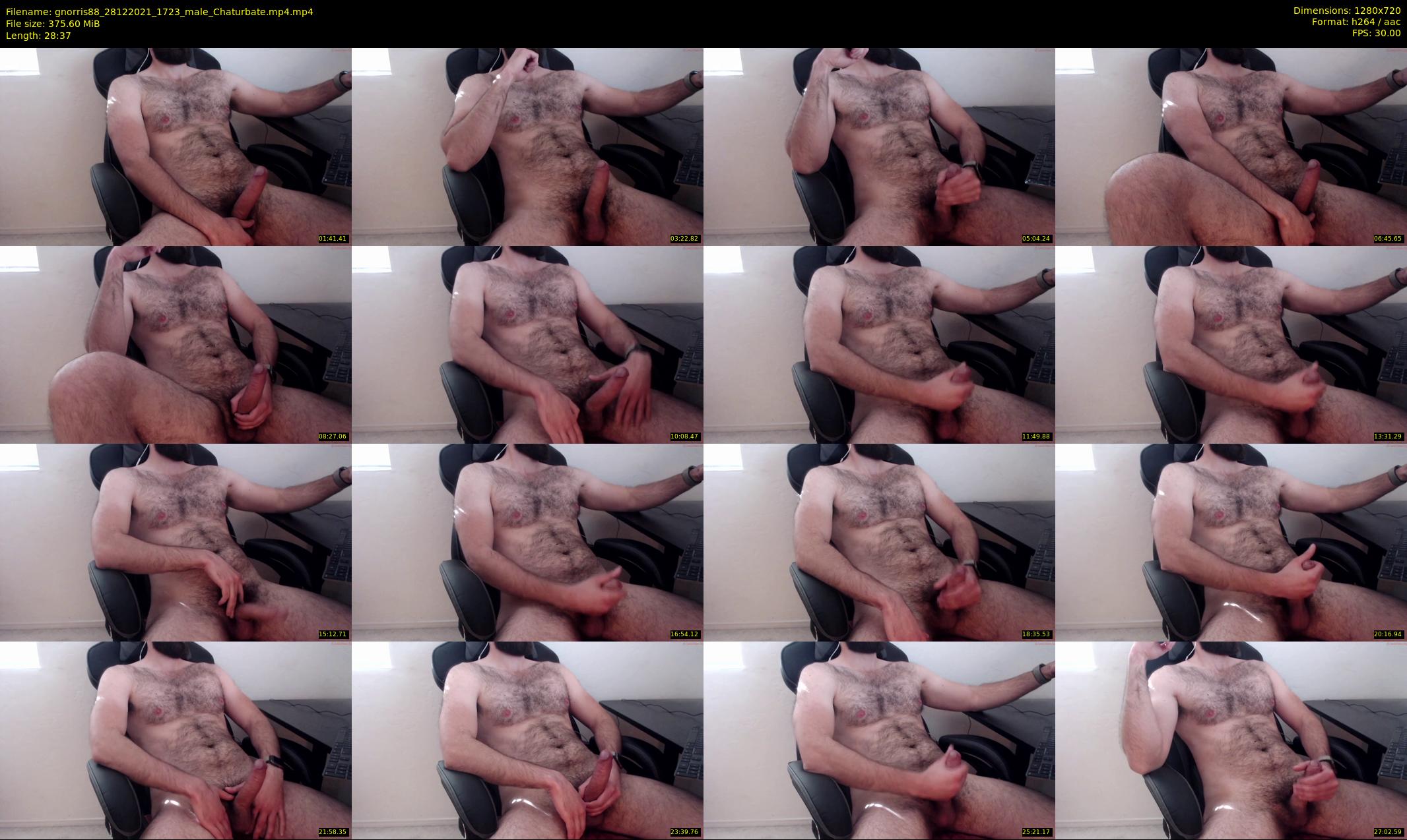 gnorris88 — 29 minute Chaturbate male cam show recording, 720p, Dec 28, 2021