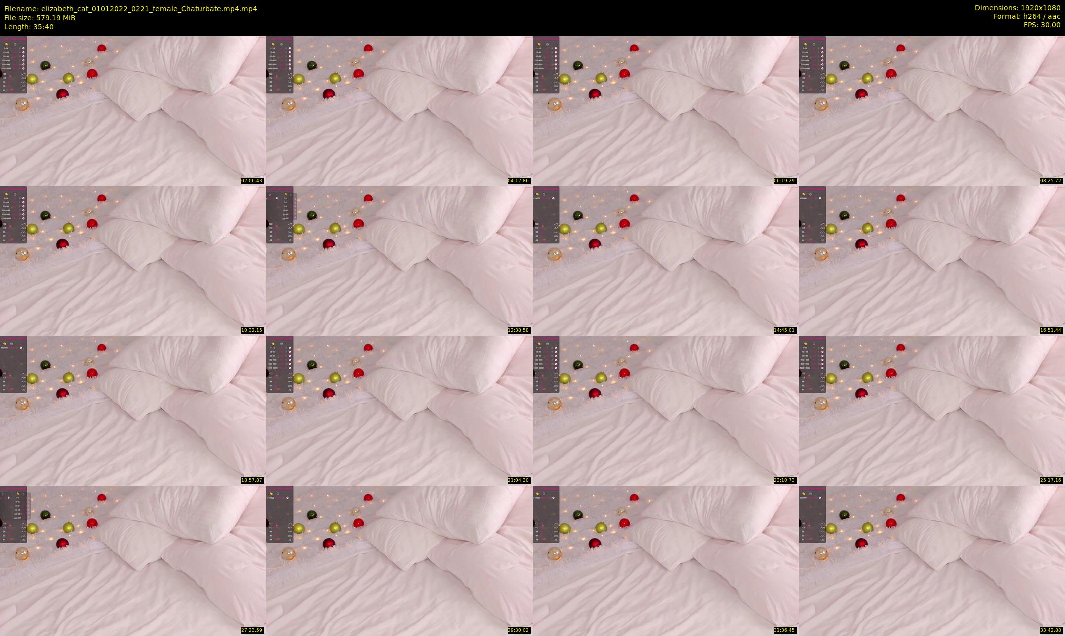 elizabeth_cat — 36 minute Chaturbate female cam show recording, 1080p, Jan 1, 2022