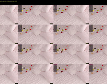 elizabeth_cat — 36 minute Chaturbate female cam show recording, 1080p, Jan 1, 2022