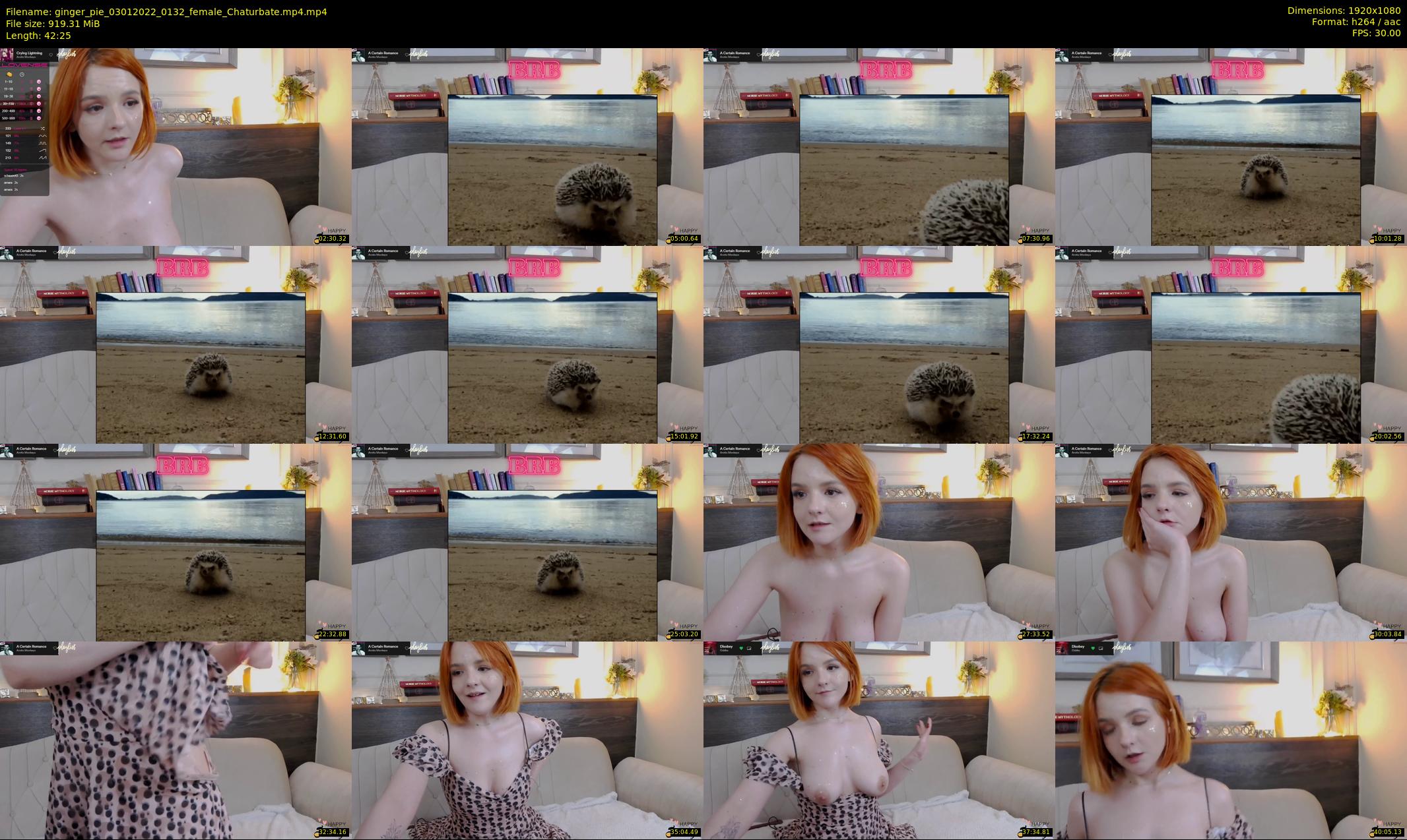 ginger_pie — 43 minute Chaturbate female cam show recording, 1080p, Jan 3, 2022