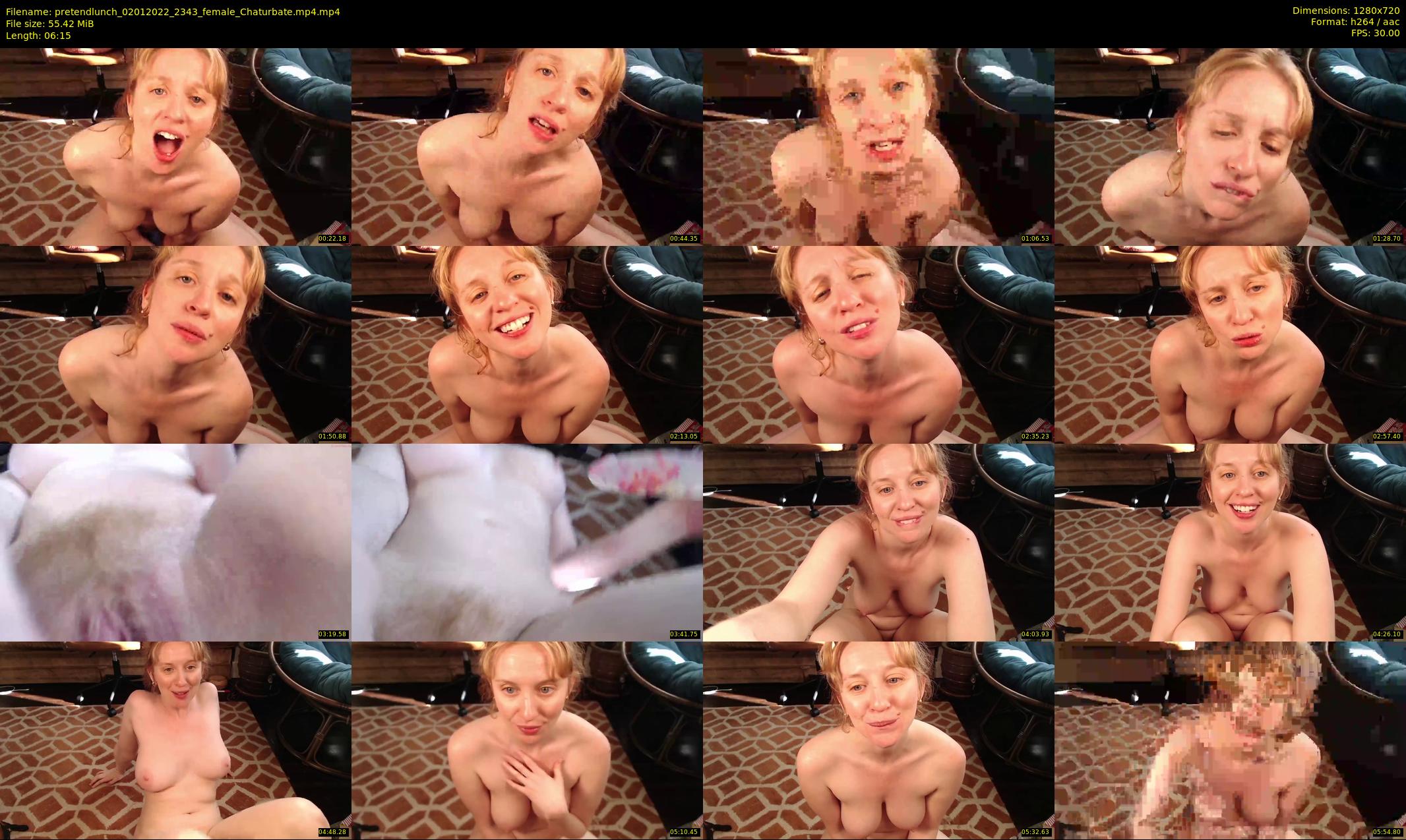 pretendlunch — 7 minute Chaturbate couple cam show recording, 720p, Jan 2, 2022
