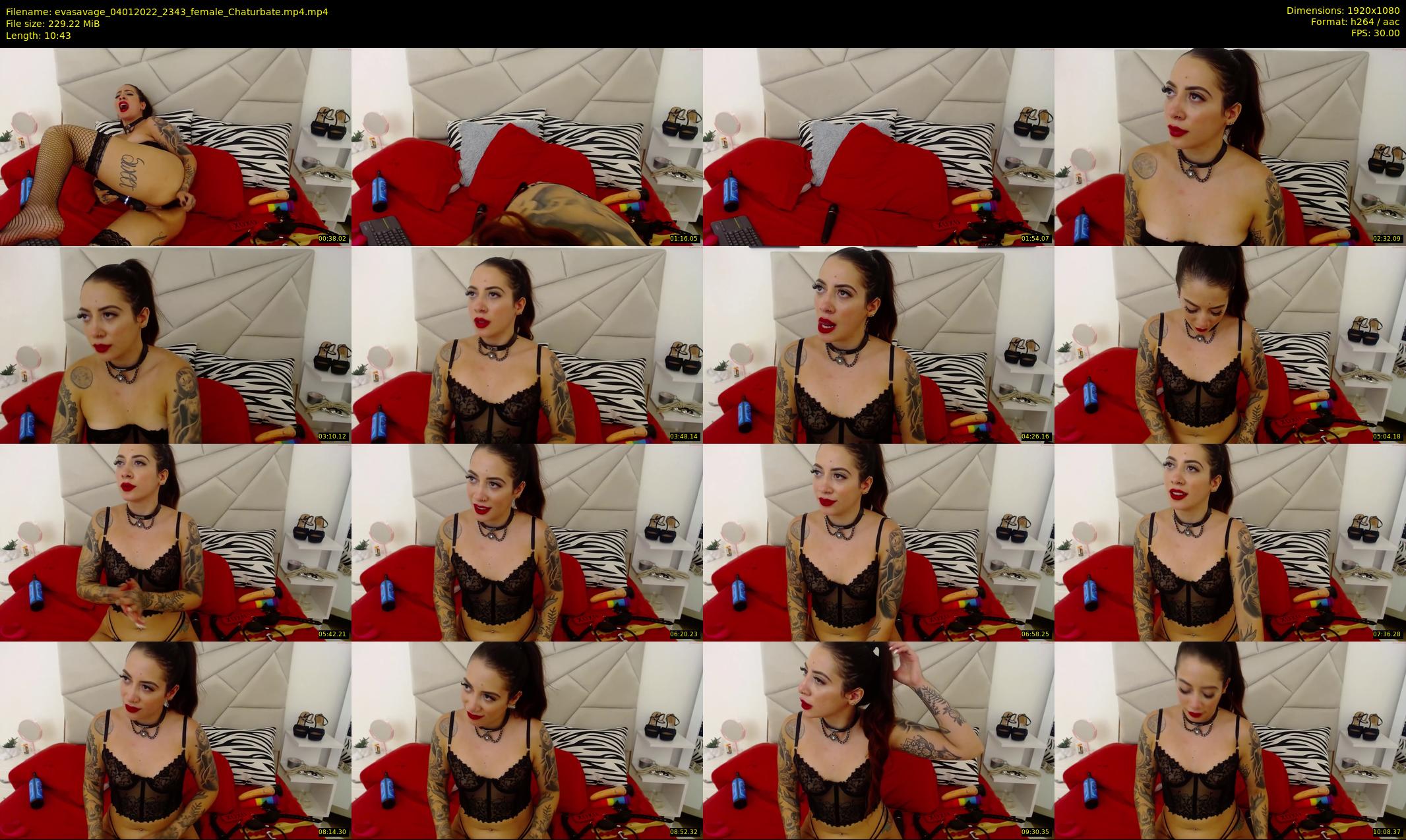 evasavage — 11 minute Chaturbate female cam show recording, 1080p, Jan 4, 2022