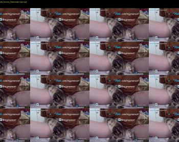 mjgreencat — 3 minute Chaturbate female cam show recording, 720p, Jan 5, 2022