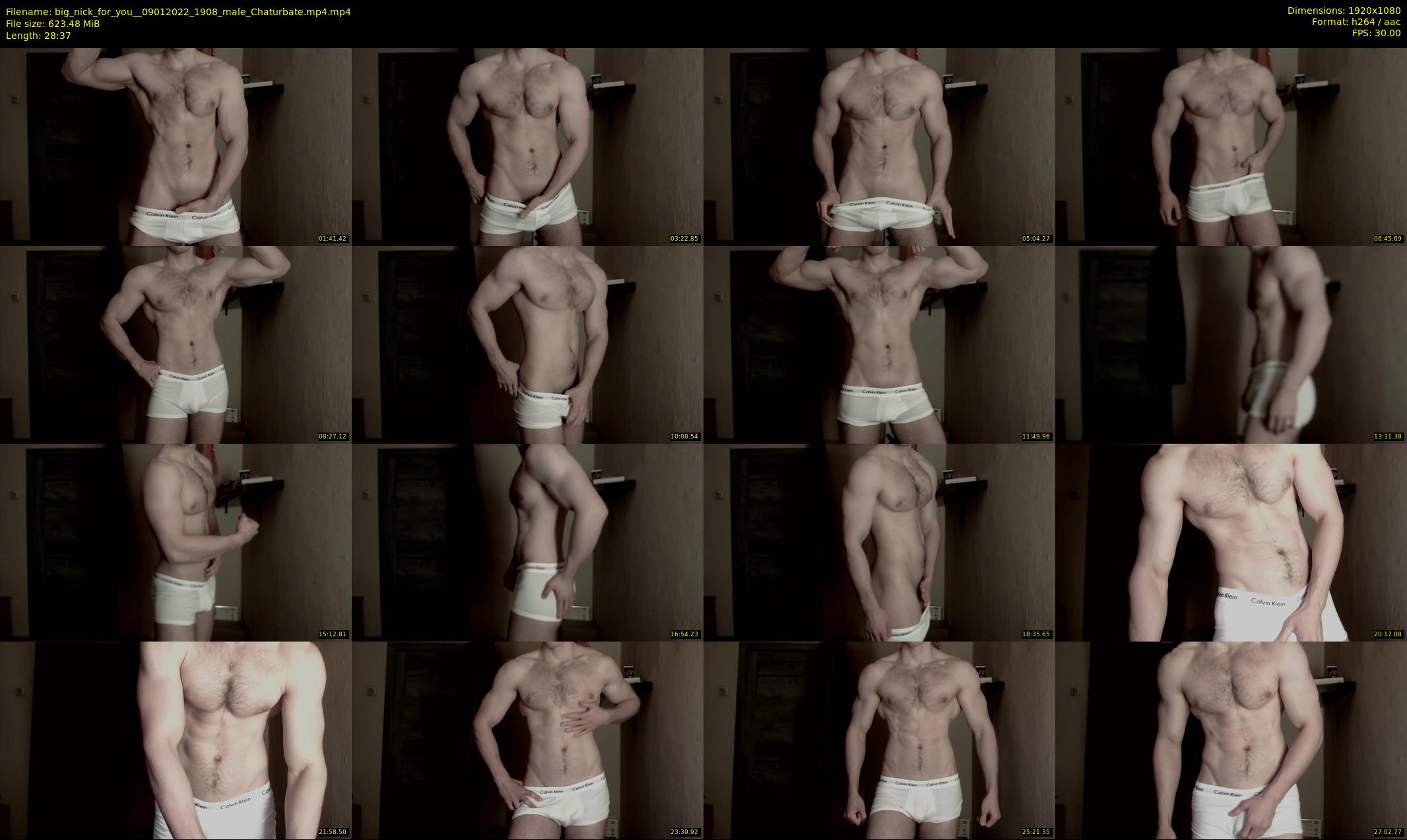 big_nick_for_you_ — 29 minute Chaturbate male cam show recording, 1080p, Jan 9, 2022