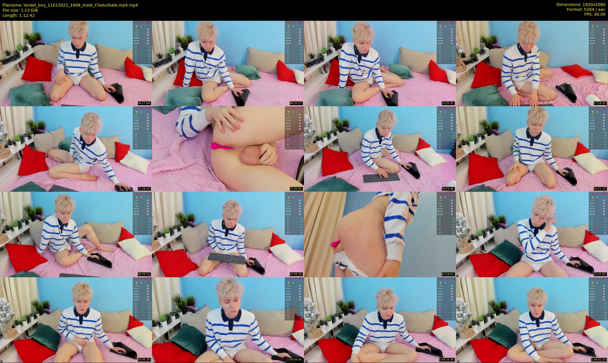 landel_boy — 73 minute Chaturbate male cam show recording, 1080p, Jan 11, 2022