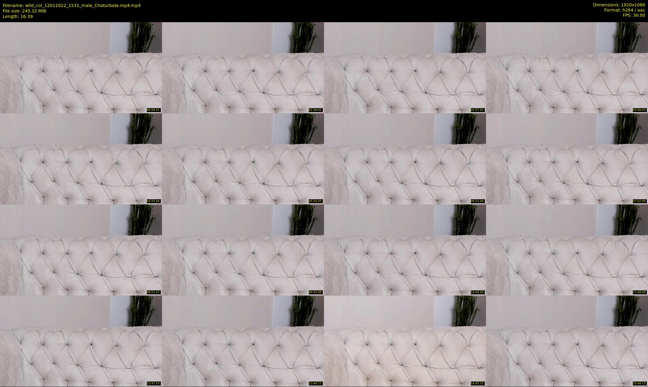 wild_col — 17 minute Chaturbate male cam show recording, 1080p, Jan 12, 2022