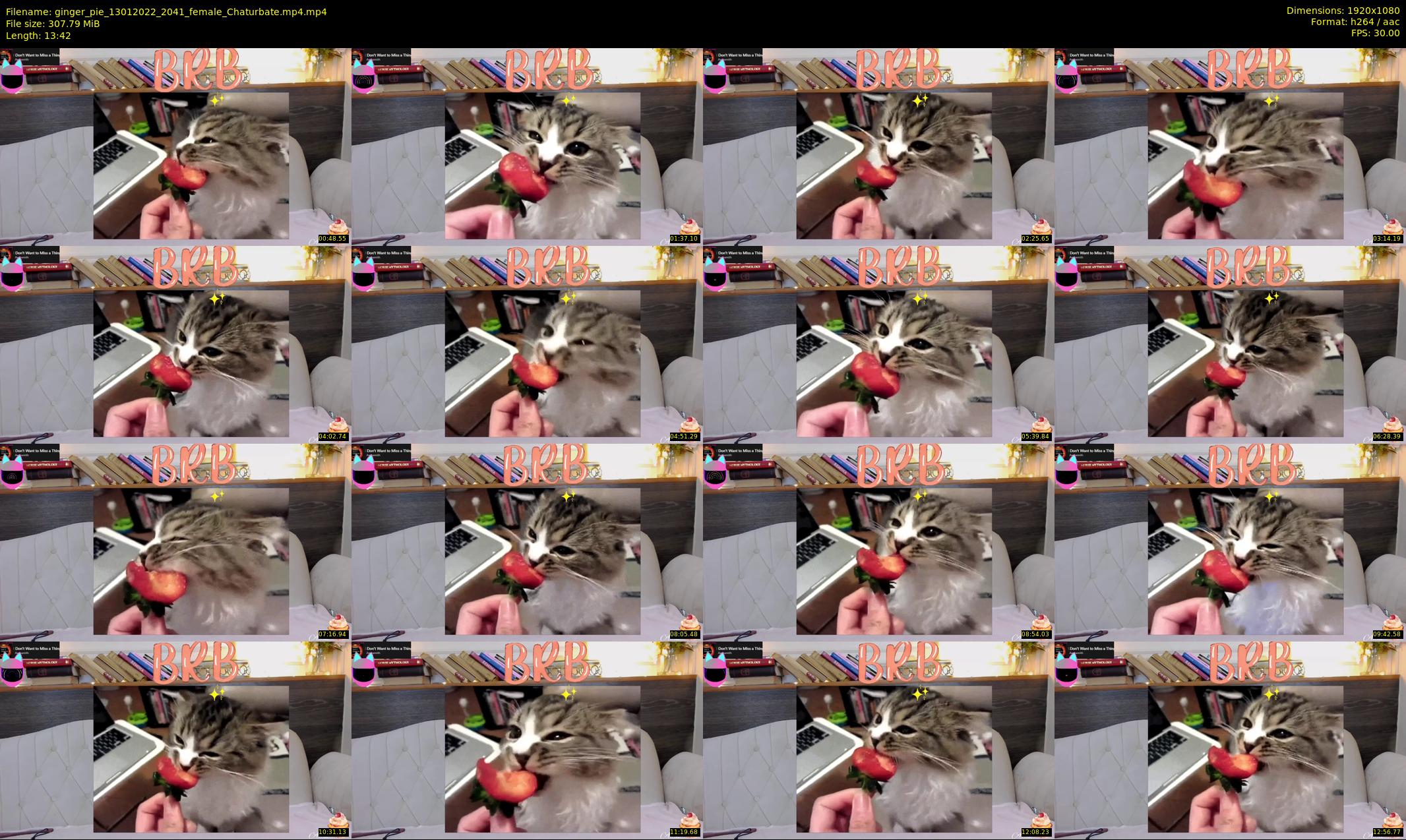 ginger_pie — 14 minute Chaturbate female cam show recording, 1080p, Jan 13, 2022