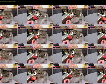 ginger_pie — 14 minute Chaturbate female cam show recording, 1080p, Jan 13, 2022