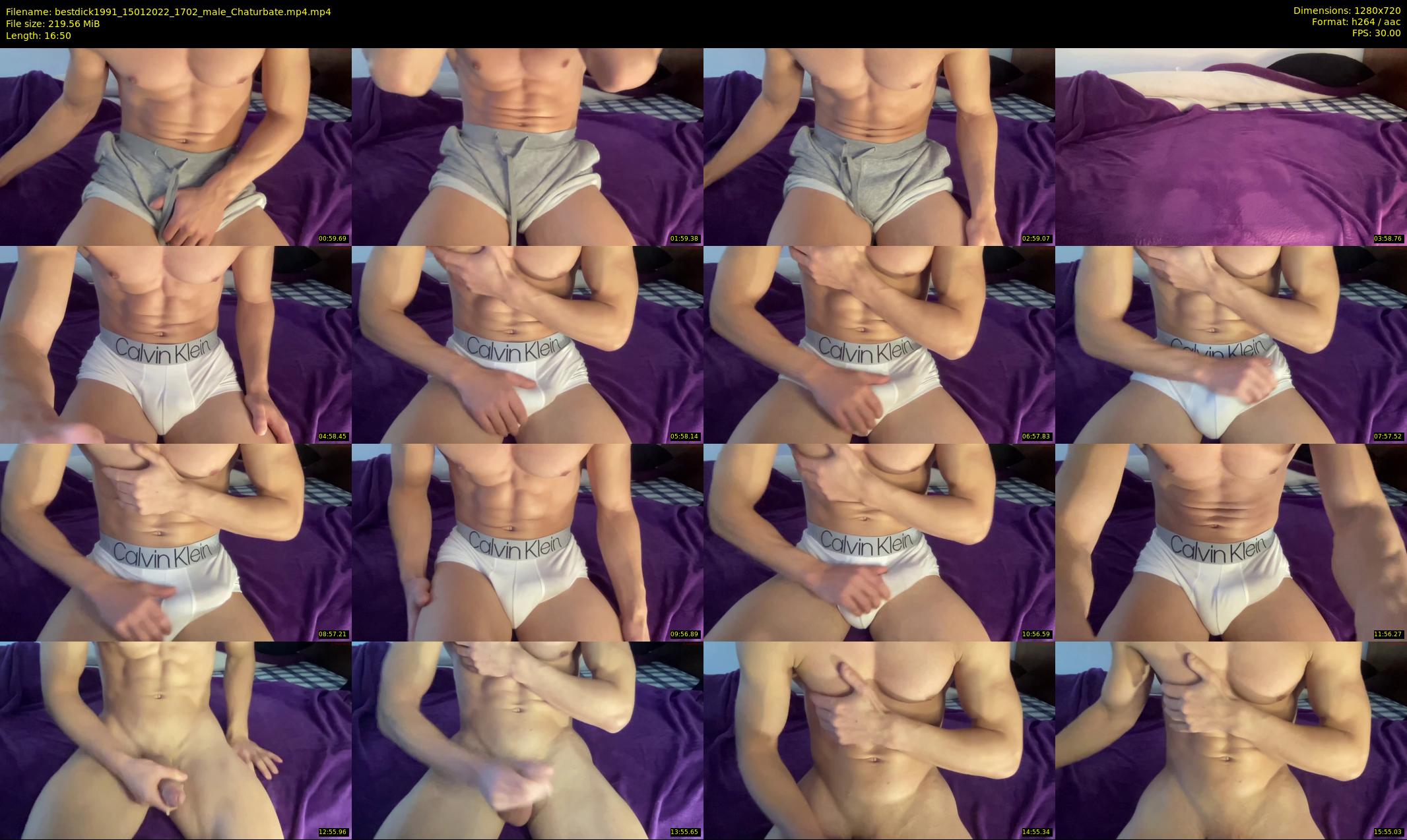 bestdick1991 — 17 minute Chaturbate male cam show recording, 720p, Jan 15, 2022