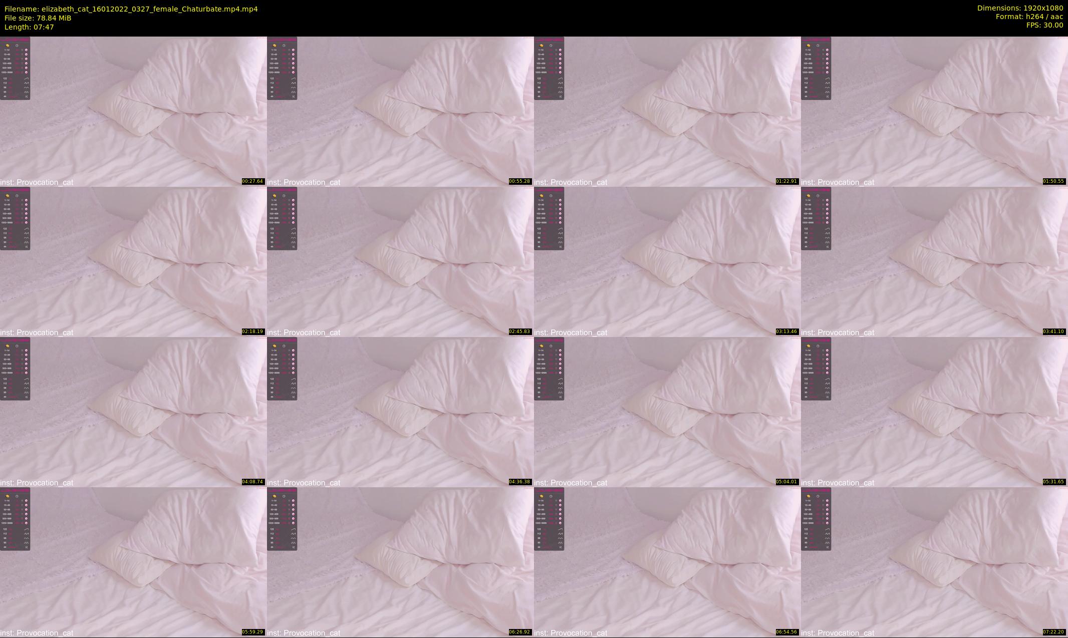 elizabeth_cat — 8 minute Chaturbate female cam show recording, 1080p, Jan 16, 2022