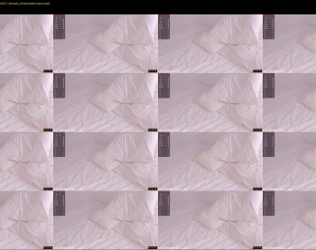 elizabeth_cat — 8 minute Chaturbate female cam show recording, 1080p, Jan 16, 2022