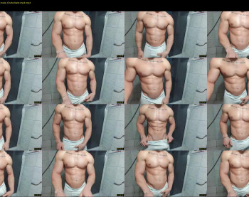 advp69 — 14 minute Chaturbate male cam show recording, 360p, Jan 22, 2022