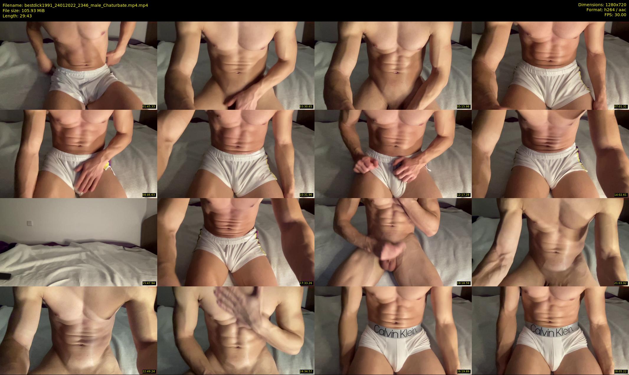 bestdick1991 — 30 minute Chaturbate male cam show recording, 720p, Jan 24, 2022