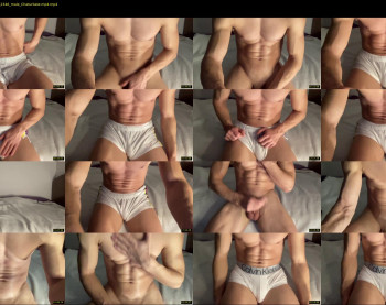 bestdick1991 — 30 minute Chaturbate male cam show recording, 720p, Jan 24, 2022
