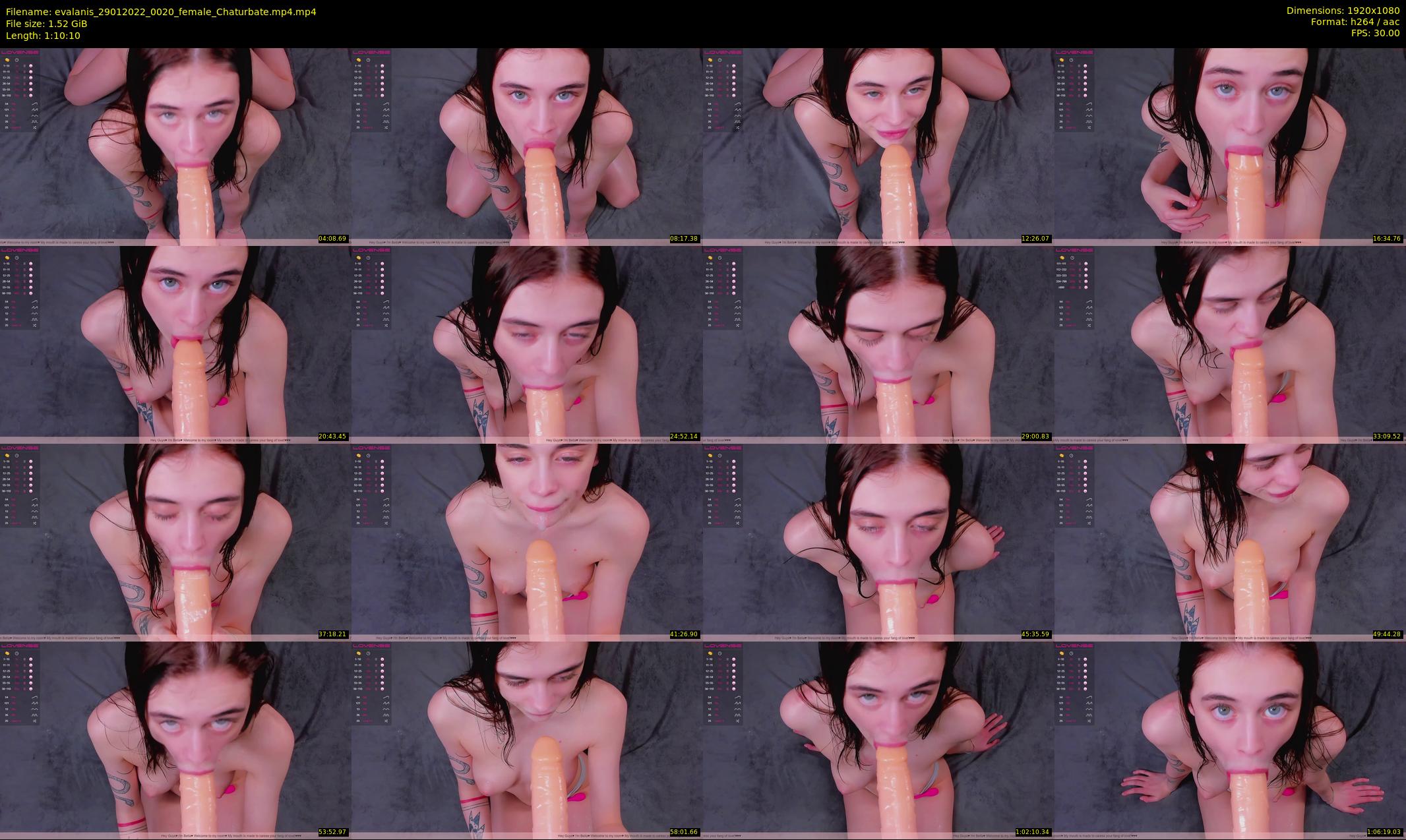 evalanis — 71 minute Chaturbate couple cam show recording, 1080p, Jan 29, 2022