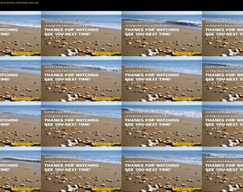 wethoneybee — 21 minute Chaturbate female cam show recording, 1080p, Jan 29, 2022