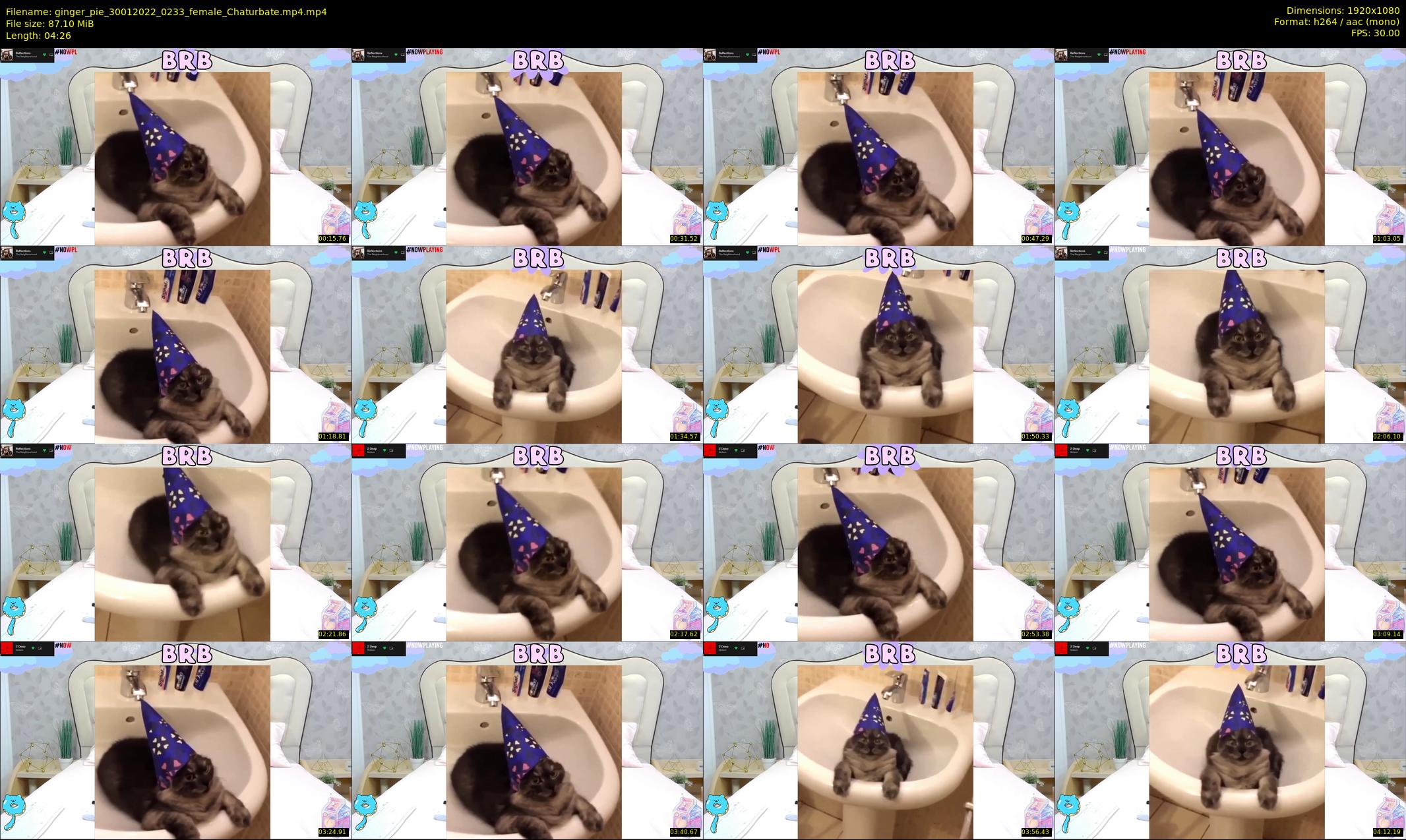 ginger_pie — 5 minute Chaturbate female cam show recording, 1080p, Jan 30, 2022