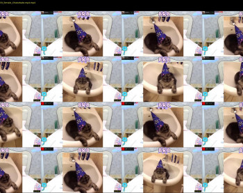ginger_pie — 5 minute Chaturbate female cam show recording, 1080p, Jan 30, 2022