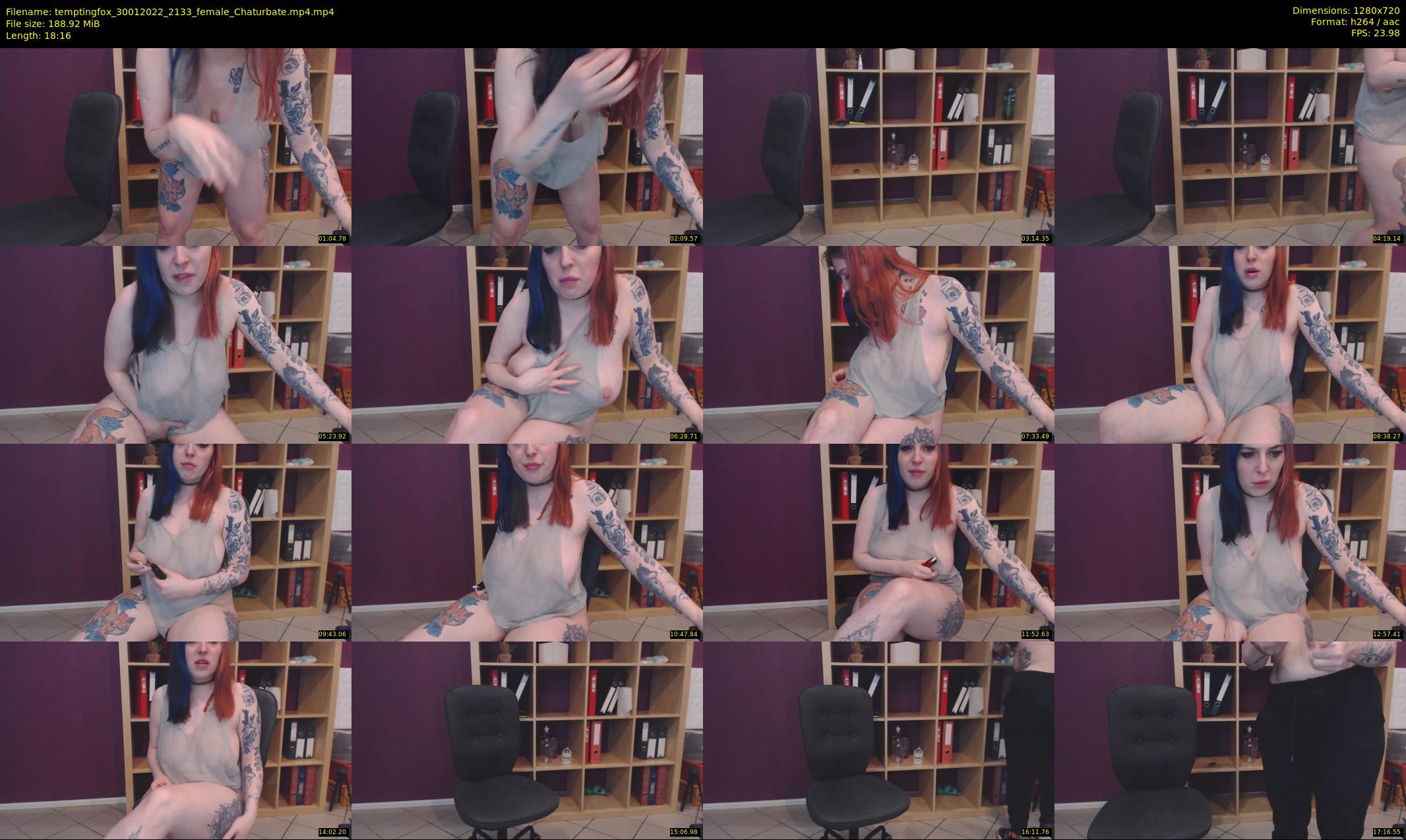 temptingfox — 19 minute Chaturbate female cam show recording, 720p, Jan 30, 2022