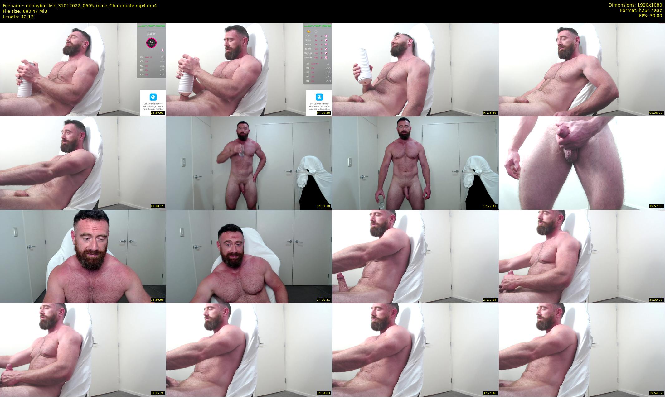 donnybasilisk — 43 minute Chaturbate male cam show recording, 1080p, Jan 31, 2022