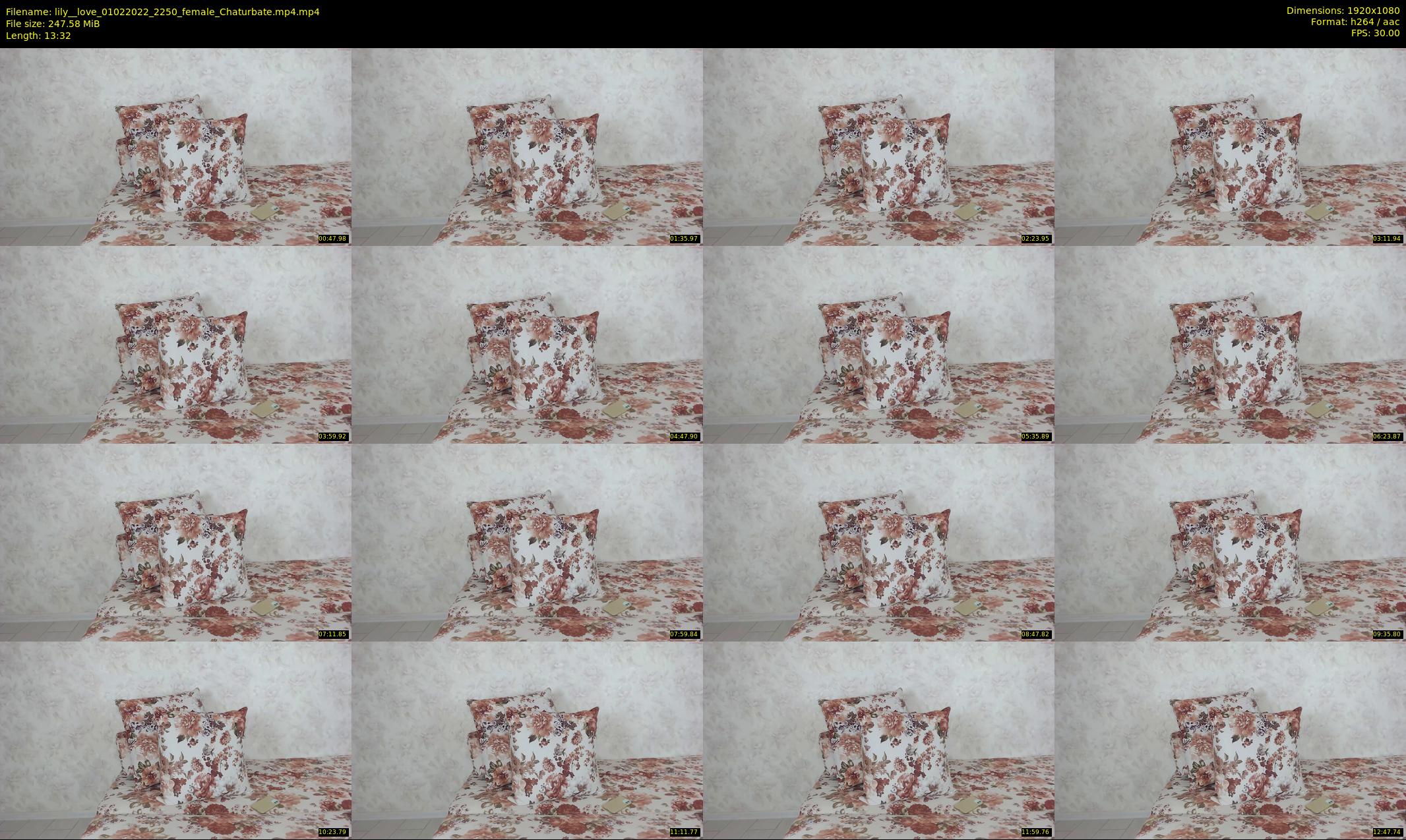 lily__love — 14 minute Chaturbate female cam show recording, 1080p, Feb 1, 2022